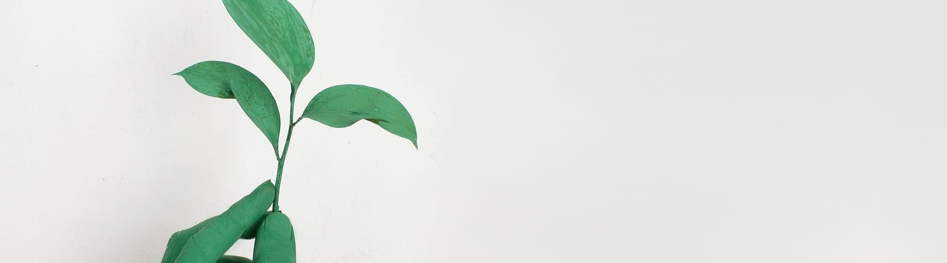 BANNER - SDG Article 1 BANNER - SDG Article 1