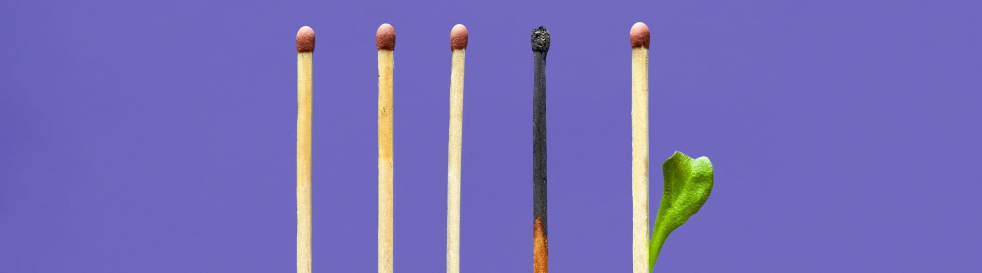 BANNER - Top 5 August 20 BANNER - Top 5 August 20