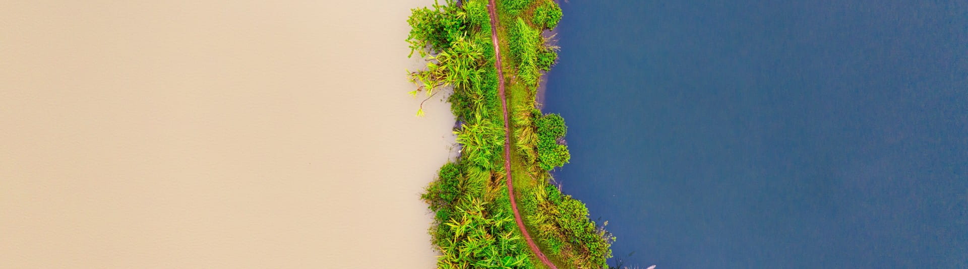 How to Make The Green Transition Work for Every Worker How to Make The Green Transition Work for Every Worker