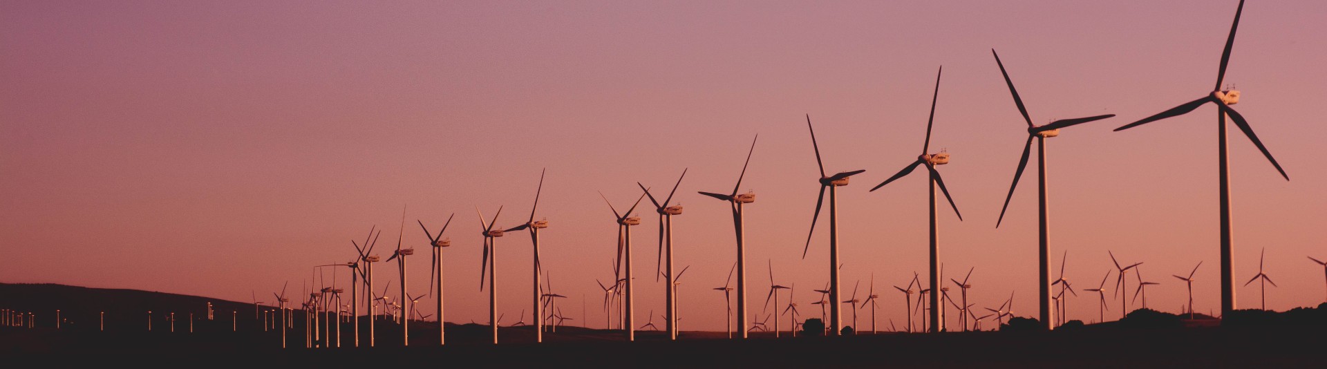 BANNER - Trends Defining the Green Transition and the Green Economy