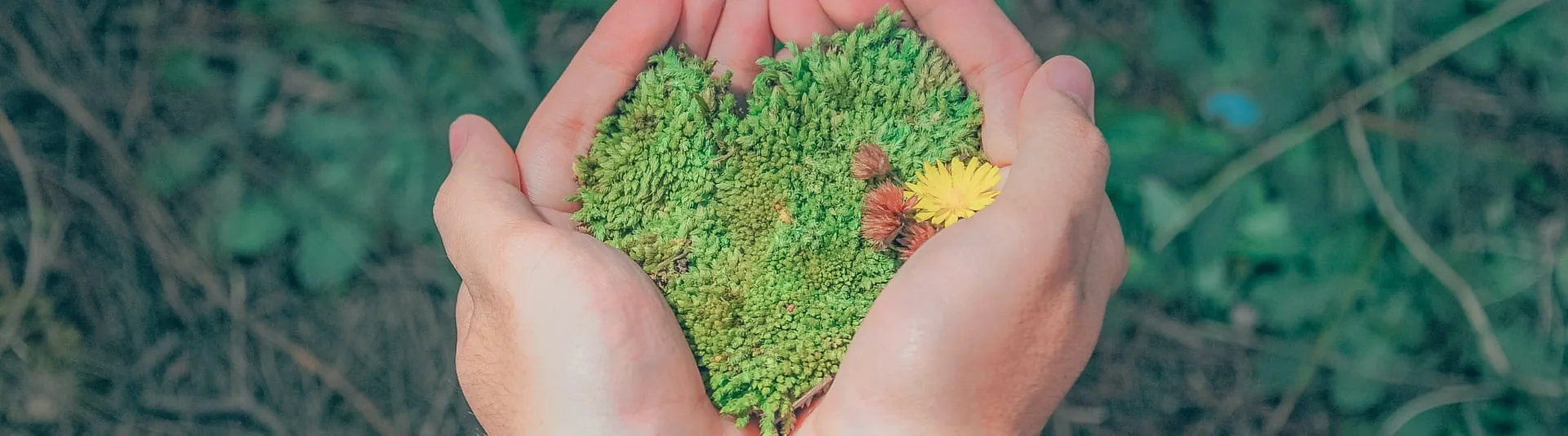 banner image banner image