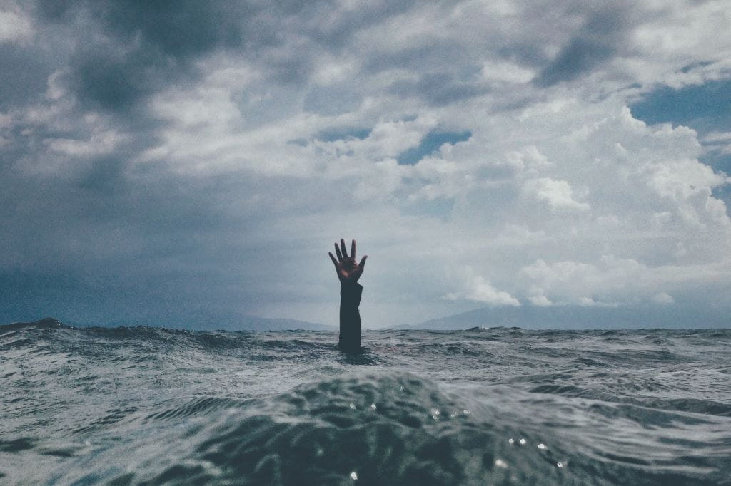 Photo 1 - nikko-macaspac-6SNbWyFwuhk-unsplash - WEB Photo 1 - nikko-macaspac-6SNbWyFwuhk-unsplash - WEB