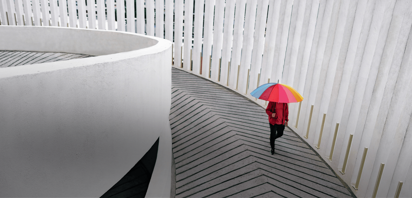 A single person holding a colorful umbrella walks along a curved pathway between white modern architectural walls. A single person holding a colorful umbrella walks along a curved pathway between white modern architectural walls.